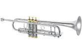 XO Professional Brass - 1602 Bb Trumpet with Standard Lead-Pipe, Rose Brass Bell and Standard Taper - Silver-Plated with Gold Trim