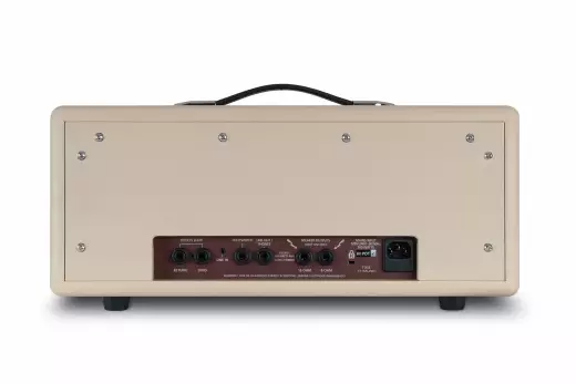 Debut 100RH 100-Watt Amplifier Head - Cream