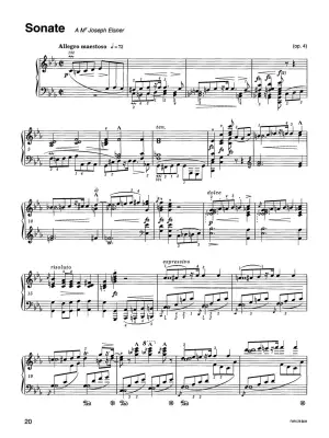 Various Works, Variations in E and Sonata in C Minor (Chopin National Edition 28B, Volume IV) - Chopin/Ekier - Piano - Book