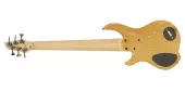 Combustion 6-String Bass w/ Pau Ferro Fingerboard - Natural