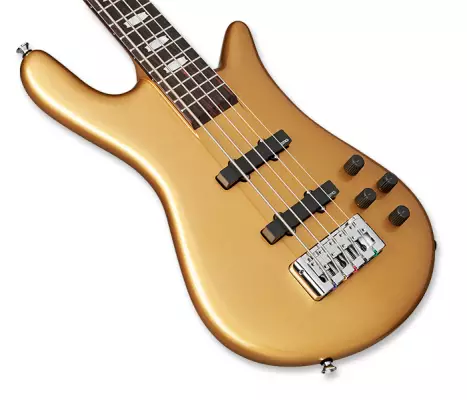 Euro 5 Classic 5-String Bass Guitar - Solid Metallic Gold Gloss