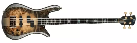 Spector Bass - Euro Custom 4-String Bass Guitar - Natural Black Burst