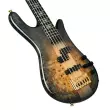 Euro 5 CST Electric Bass Guitar - Natural Black Burst