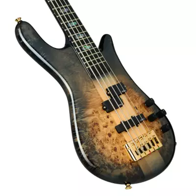 Euro 5 CST Electric Bass Guitar - Natural Black Burst