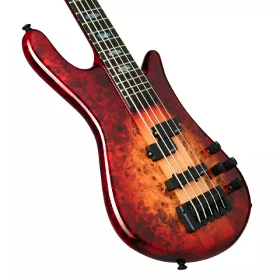 Euro 5 CST Electric Bass Guitar - Natural Red Burst Gloss