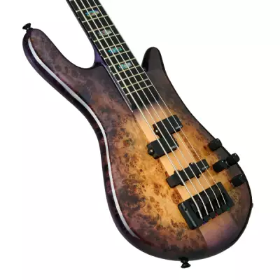 Euro 5 CST Electric Bass Guitar - Natural Violet Burst