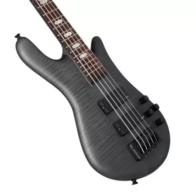 Euro 5 LX Bass Guitar - Black Stain Matte