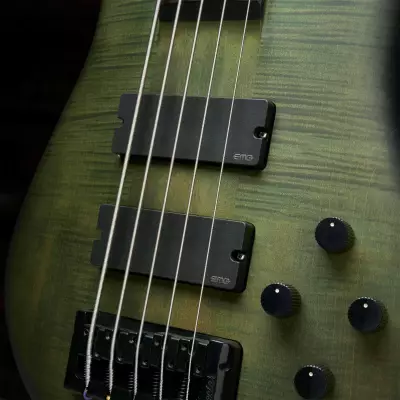 Euro 5 LX Bass Guitar - Haunted Moss Matte