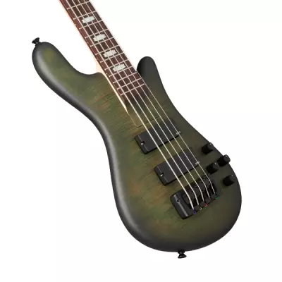 Euro 5 LX Bolt-on Bass Guitar - Haunted Moss