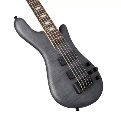 Euro 5 LX Bolt-on Bass Guitar - Transparent Black