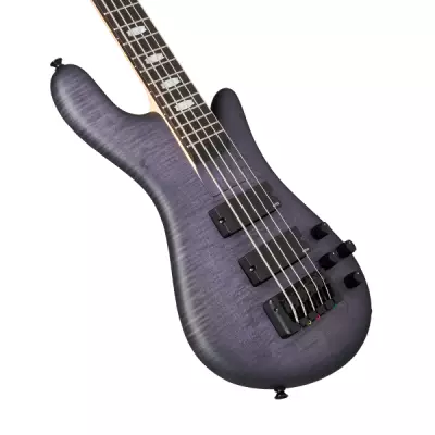 Euro 5 LX Bolt-on Bass Guitar - Nightshade