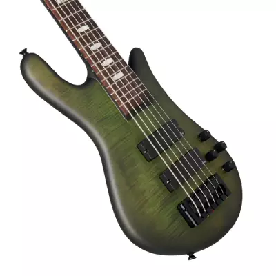 Euro 6 LX 6-String Bass Guitar - Haunted Moss Matte