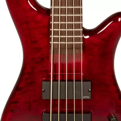 Bantam 5 Medium Scale Bass - Black Cherry Gloss