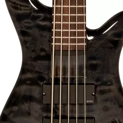 Bantam 5 Medium Scale Bass - Black Stain Gloss