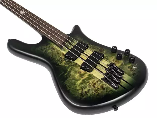 NS Dimension 4 Multi-Scale Bass Guitar - Haunted Moss Matte