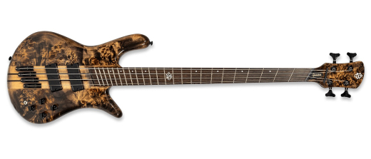 Spector Bass - NS Dimension 4 Multi-Scale Bass Guitar - Super Faded Black Gloss