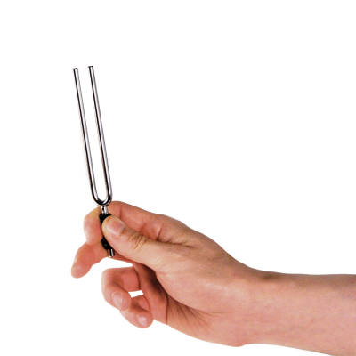 Tuning Fork \'E\'