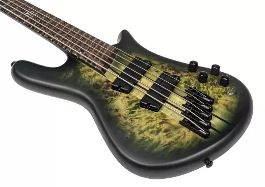 NS Dimension 5 Multi-Scale Bass Guitar - Haunted Moss Matte