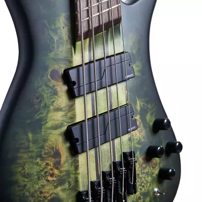 NS Dimension 5 Multi-Scale Bass Guitar - Haunted Moss Matte