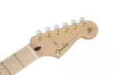 Richie Kotzen Stratocaster, Maple Fingerboard - Transparent Red Burst