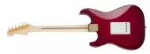 Richie Kotzen Stratocaster, Maple Fingerboard - Transparent Red Burst