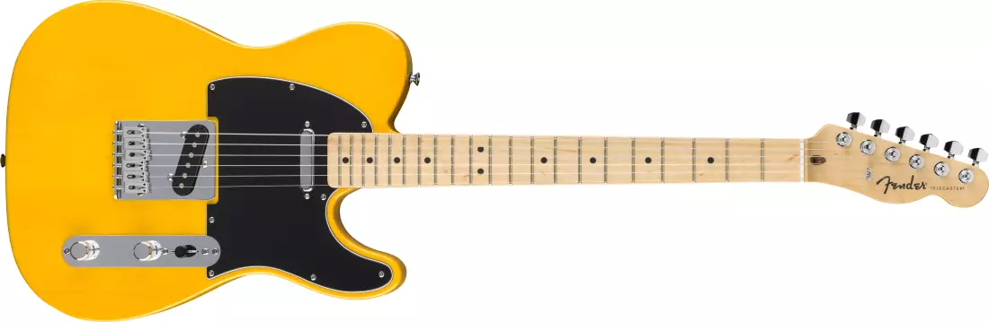 Standard Telecaster, Maple Fingerboard with Black Pickguard - Butterscotch Blonde