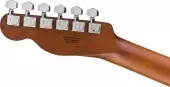 Acoustasonic Standard Telecaster - Honey Burst