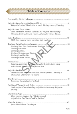 Maximizing Student Performance: Preparing Your Concert Band for Adjudication - Meredith/Fagen - Book