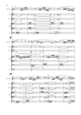 Oboe Concerto in D Major - Strauss/Schellenberger - Study Score - Book