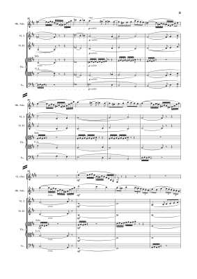 Oboe Concerto in D Major - Strauss/Schellenberger - Study Score - Book