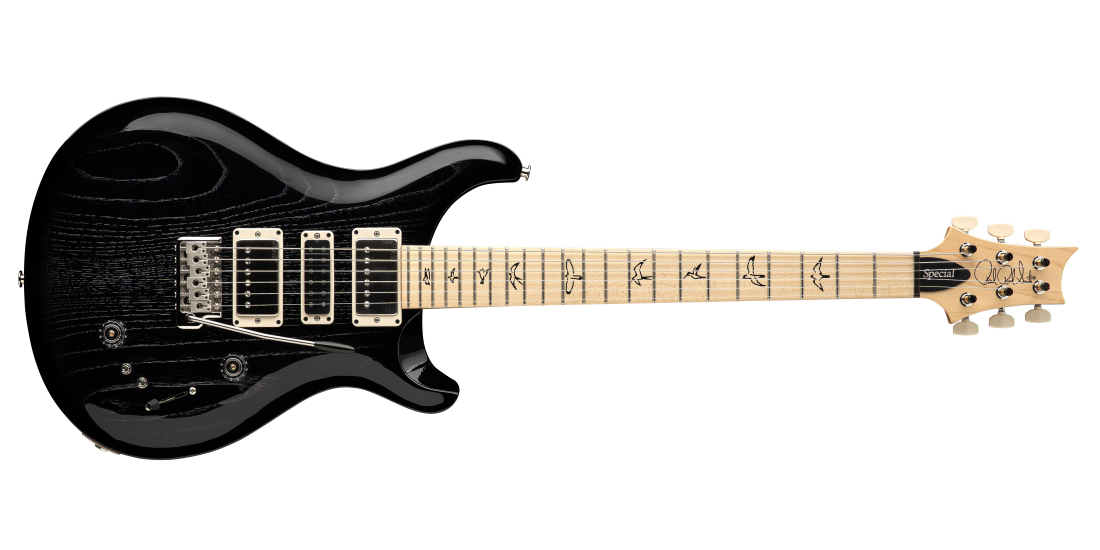 Swamp Ash Special Maple Electric Guitar with Gig Bag - Black Doghair Smokeburst