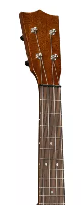 Centennial 1 Concert Ukulele with Gigbag