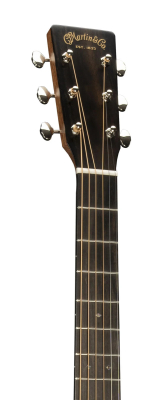 D-X2E Billy Strings Acoustic/Electric Guitar with Softshell Case