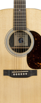 D-X2E Billy Strings Acoustic/Electric Guitar with Softshell Case