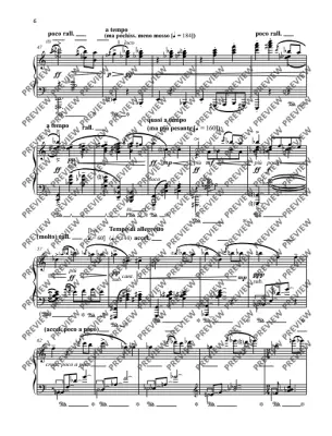 Diabelli-Variation - Widmann - Piano - Book