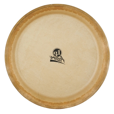 Quinto Replacement Head - 10\'\'