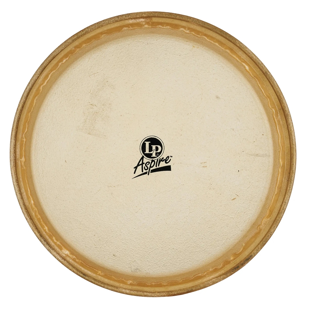 Conga Replacement Head - 11\'\'