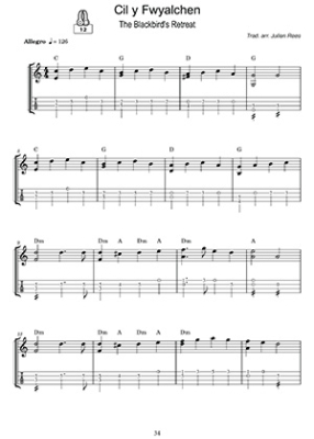 Welsh Airs & Dance Tunes for Mandolin - Rees - Mandolin - Book/Audio Online