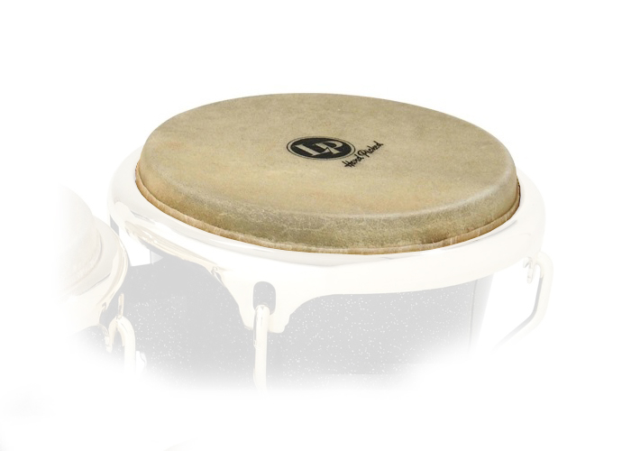Rawhide Large Mounted Bongo Head 8-5/8\'\'