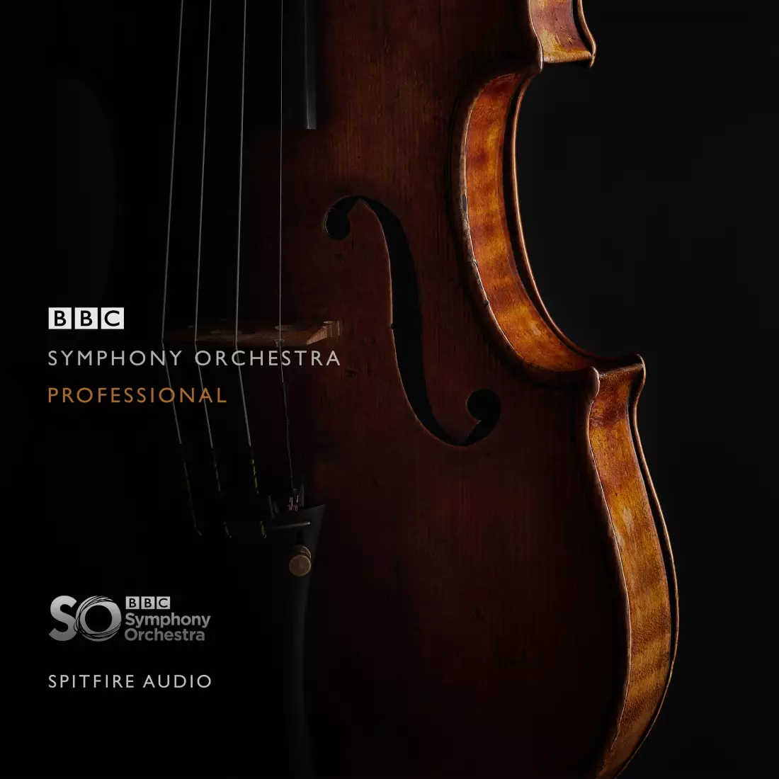 BBC Symphony Orchestra Professional - Download