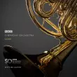 Spitfire Audio - BBC Symphony Orchestra Core - Download