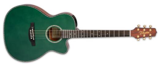 Takamine LTD2025 Acoustic/Electric Guitar With Gigbag - Antique