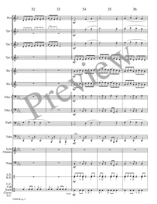 Turmoil - Meeboer - Brass Choir - Score/Parts