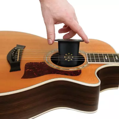 Guitar Humidifier