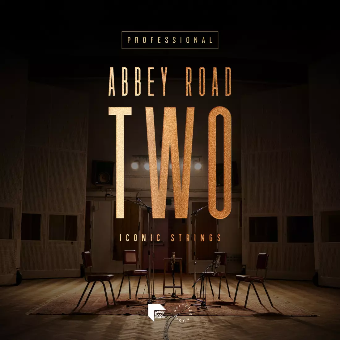 Abbey Road Two Iconic Strings Professional - Download