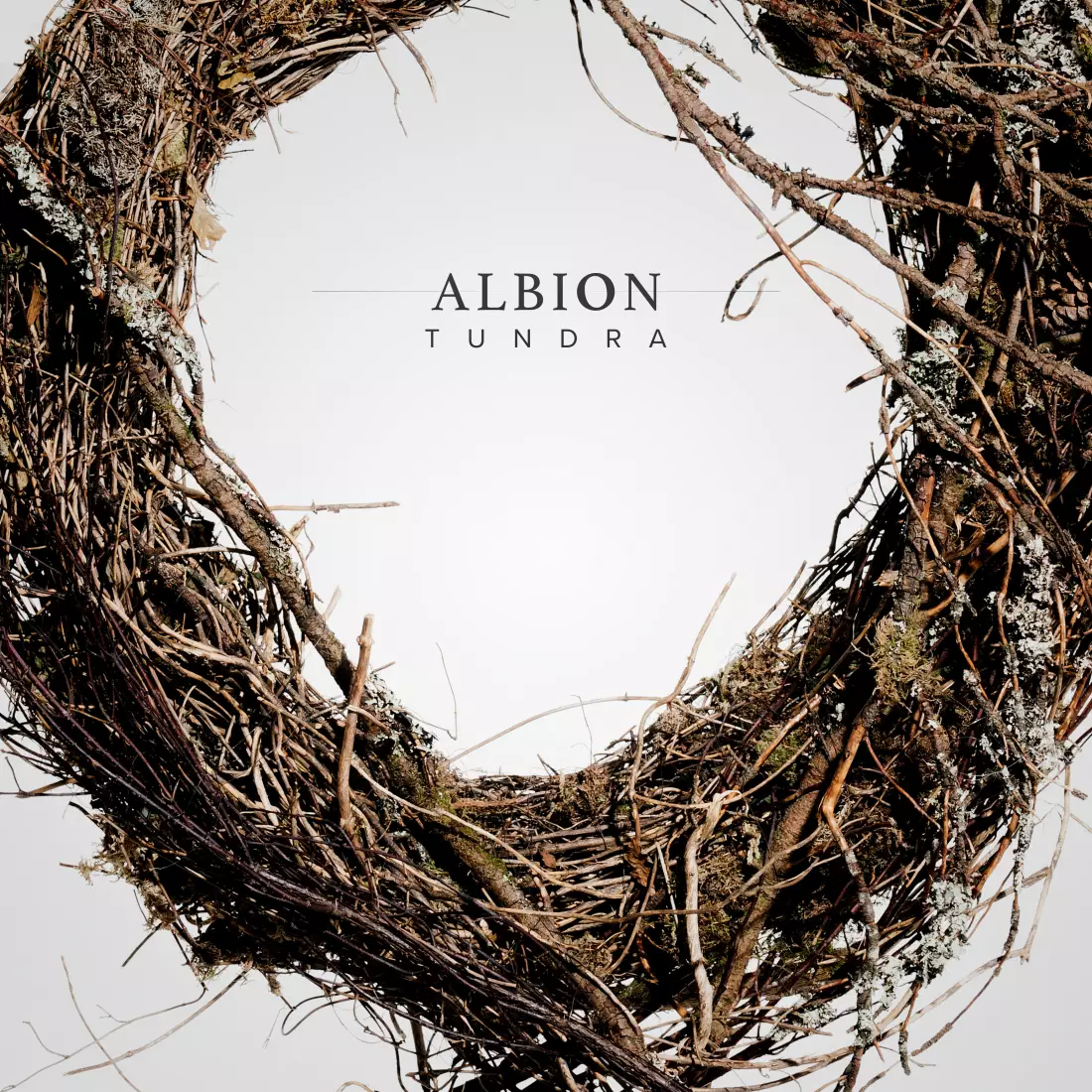 Albion Tundra - Download