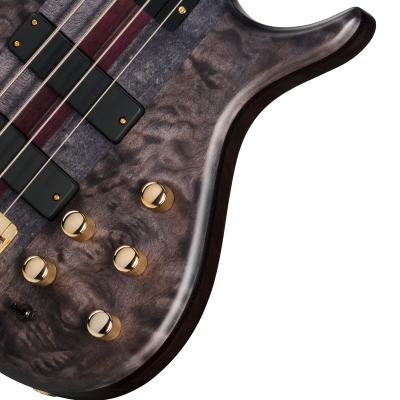 Classic IV Bass with Gigbag - Trans Black