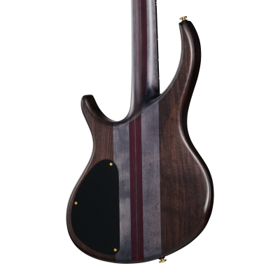 Classic IV Bass with Gigbag - Trans Black