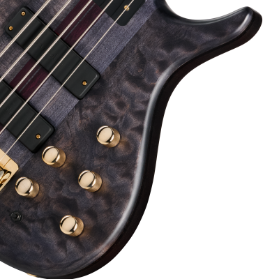 Classic V 5-String Bass with Gigbag - Trans Black