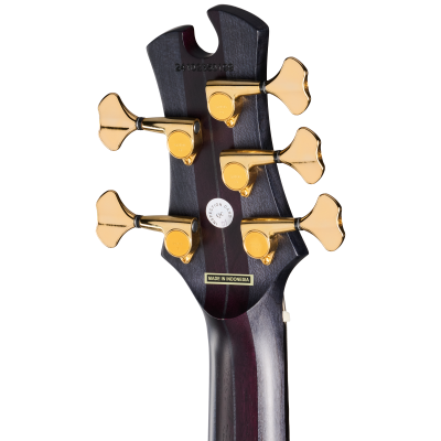 Classic V 5-String Bass with Gigbag - Trans Black